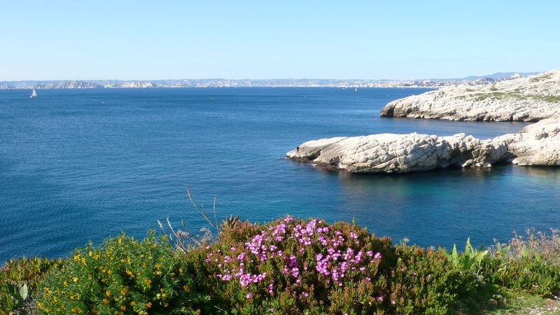 Location de villa privée avec vue mer pour l'organisation d'événements à Marseille dans les Bouches du Rhône