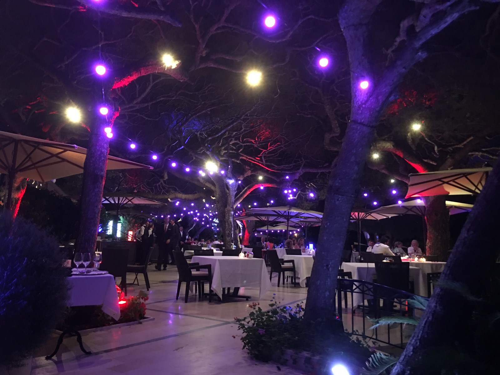 Guirlandes guinguettes lumineuses LED pour soirée évènementielle à Monaco  et en région PACA - HB Art