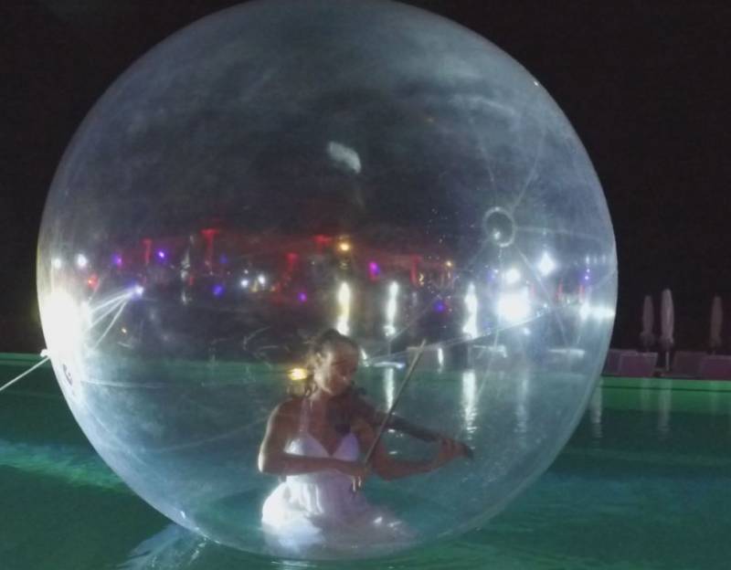 artiste violoniste pour soirée événement a marseille paca