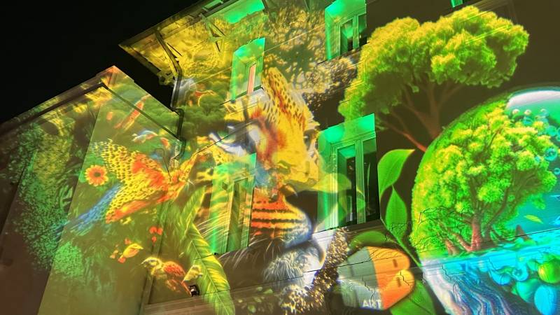 Mapplight pour communiquer sur les mesures éco responsables de votre entreprise à Marseille