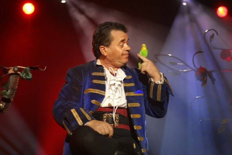 alpha la magie des oiseaux et du feu pour l evenementiel dans le vaucluse