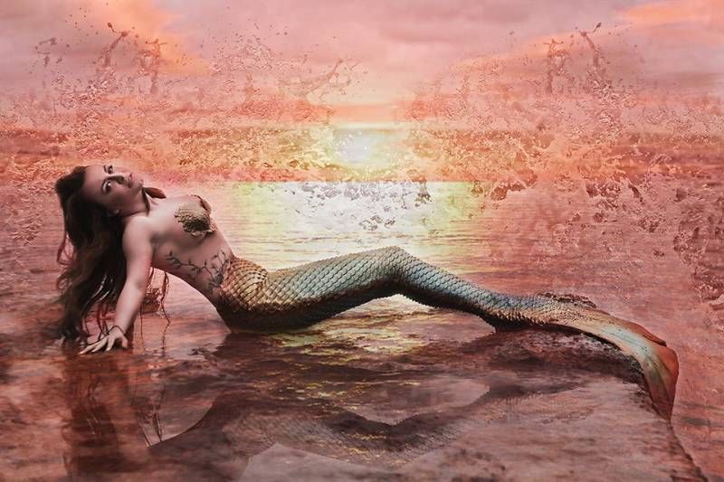 Spectacle de sirène pour soirée événementielle à Marseille 13