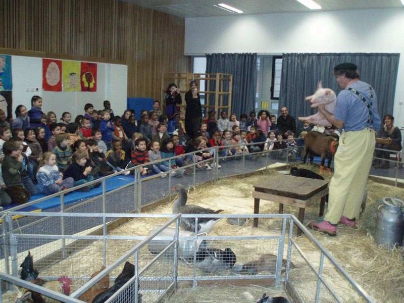 Spectacle d'animaux pour enfant pour anniversaire et arbre de Noël à Monaco