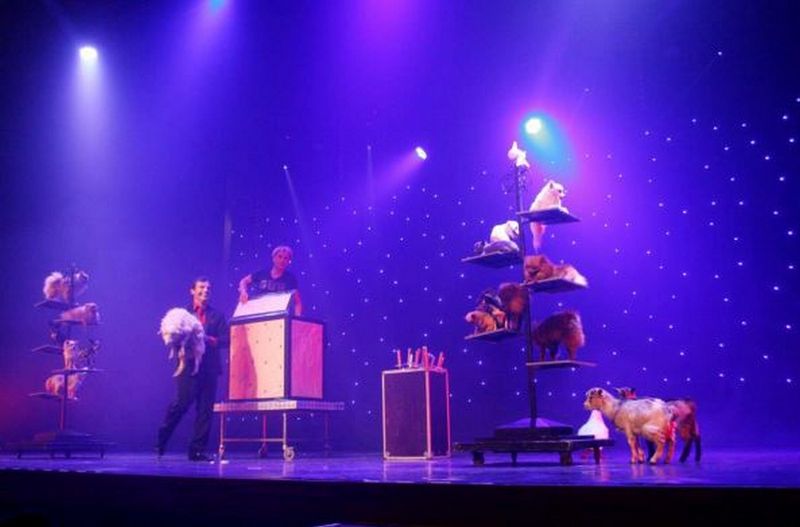 recherche spectacle pour enfant à Cannes alpes maritimes